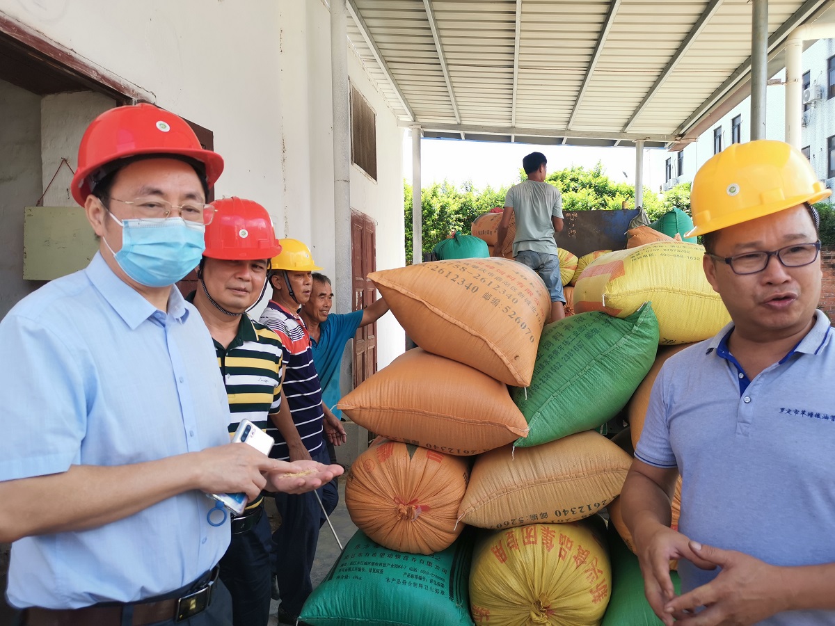 省粮食和储备局党组成员、副局长吴津伟带队前往云浮罗定市督导调研9fb09211c3d24912b29c8e3ba4a67671.jpg