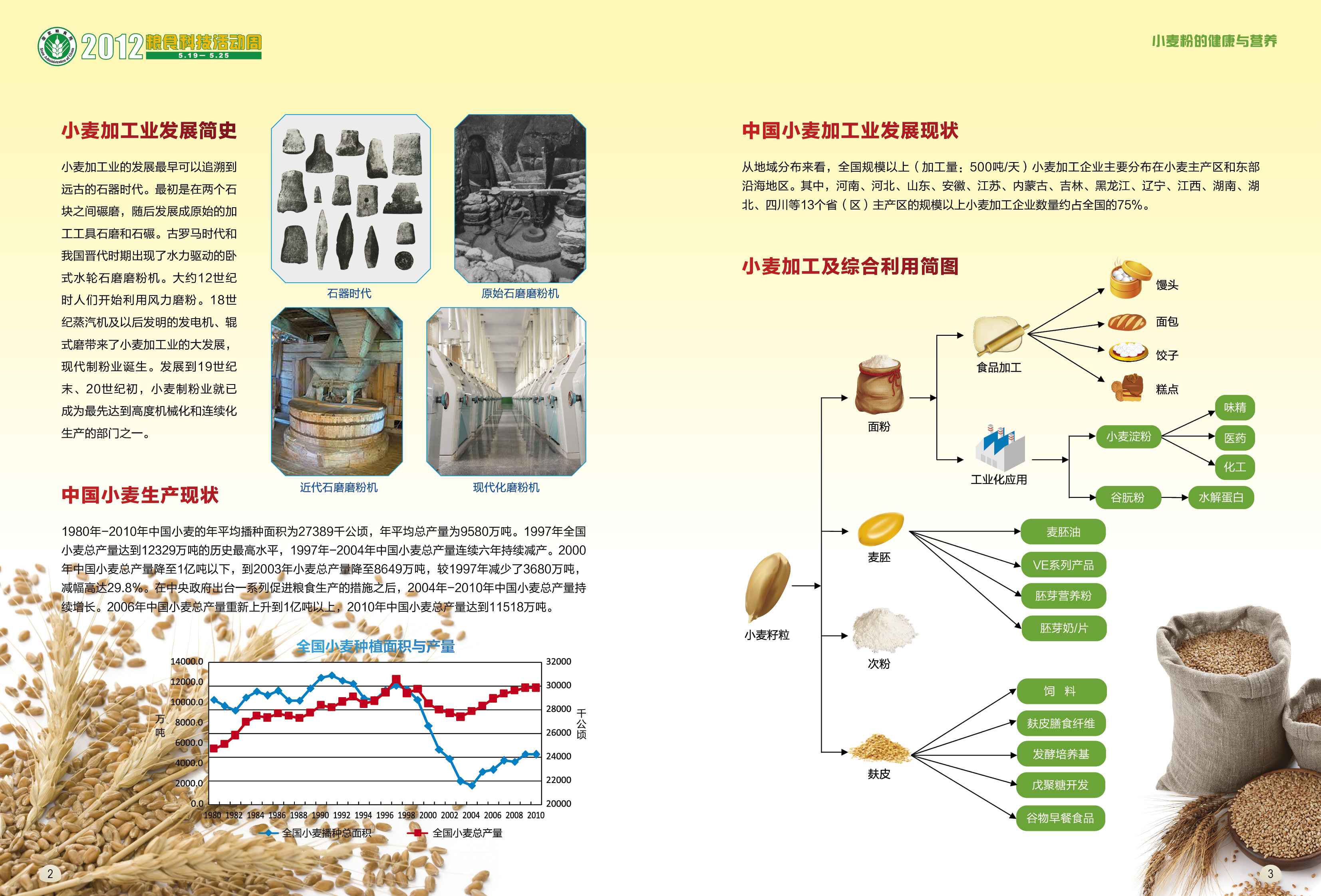 小麦粉营养与健康-3.jpg